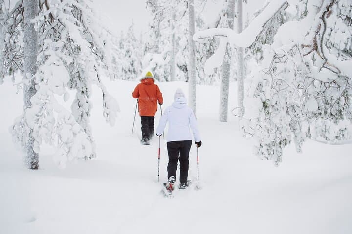 Snowshoe Trekking with Campfire BBQ from Rovaniemi