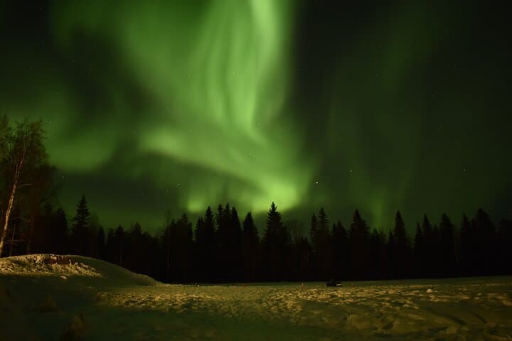 Horse Sleigh Ride Under The Night Sky in Apukka Resort, Rovaniemi