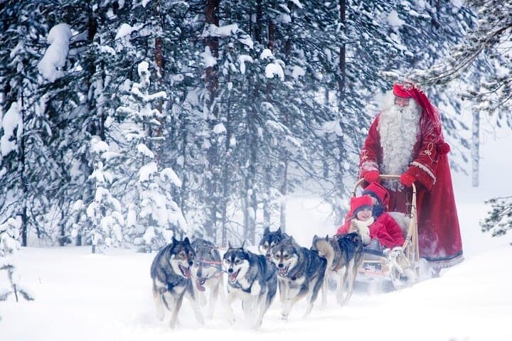 Snowmobiles and Huskies