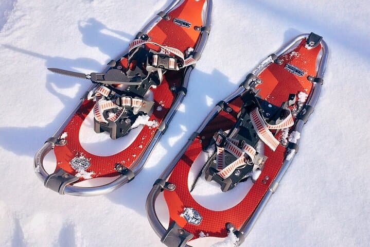 SNOWSHOEING The white walk