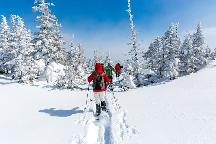 Snowshoe experience Rovaniemi