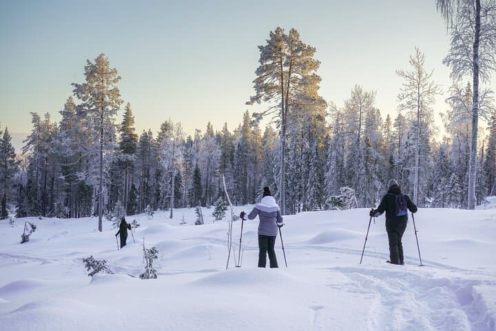 Backcountry Ski Adventure from Rovaniemi