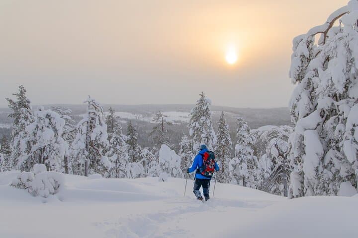 Small-Group Snowshoeing Adventure In Lapland