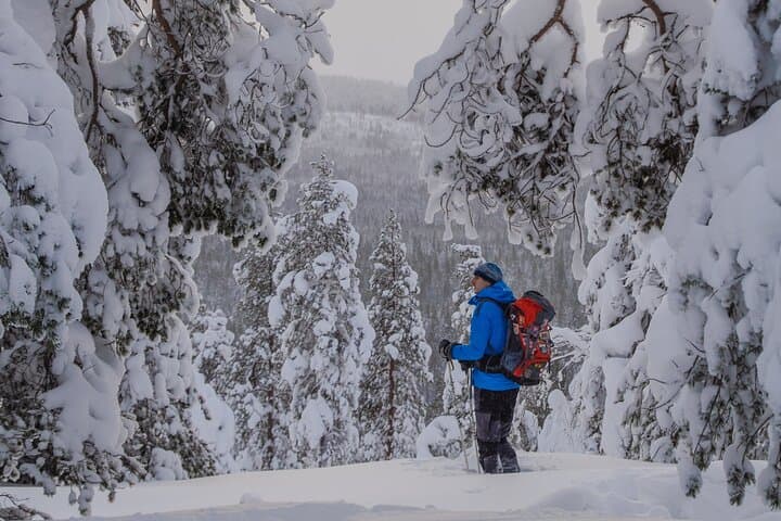 Small-Group Snowshoeing Adventure In Lapland