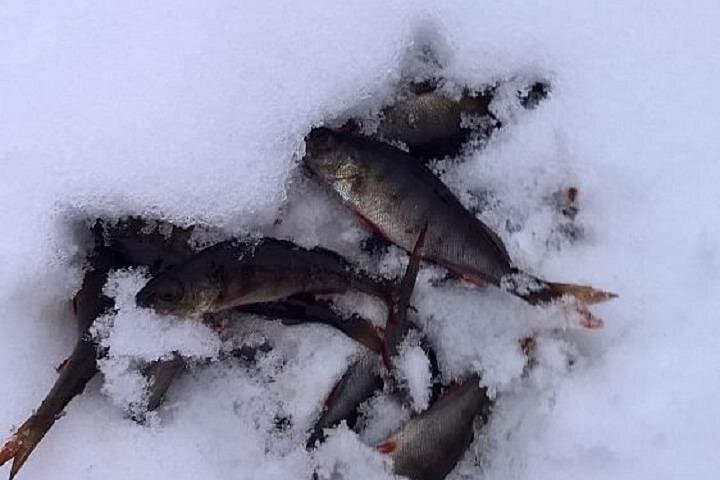Arctic Day with Ice Fishing and Floating