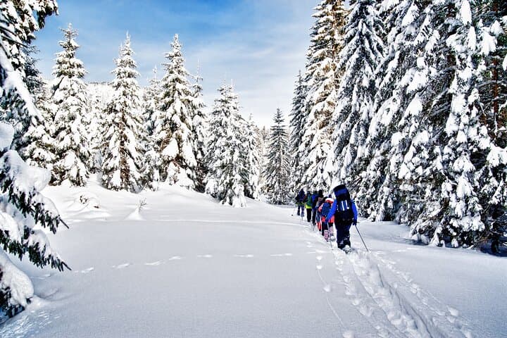 Snowshoeing in Levi