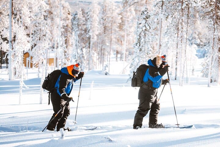 Ski Trekking Safari in Lapland