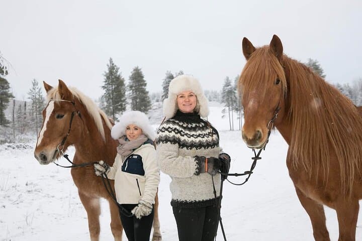Northern Lights Tour with Finn Horses Sleigh Ride in Lapland