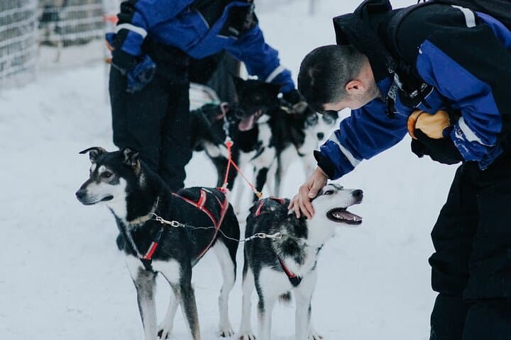 Family day: Reindeer, Husky and Snowmobiling in Levi