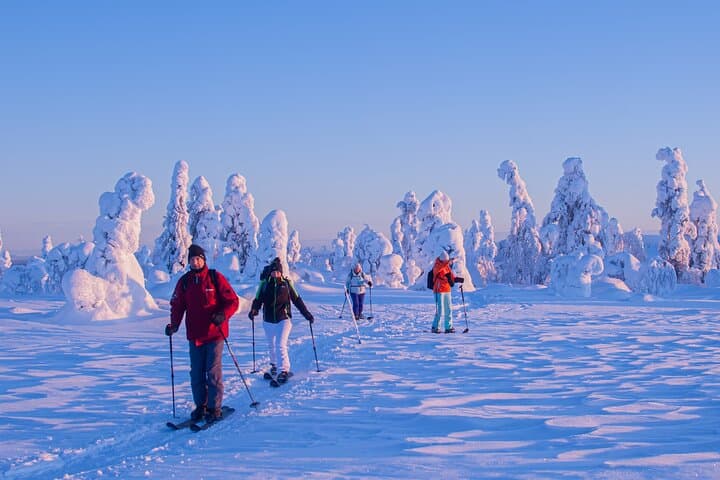 Full-Day Snowshoeing Adventure in Amethyst from Rovaniemi