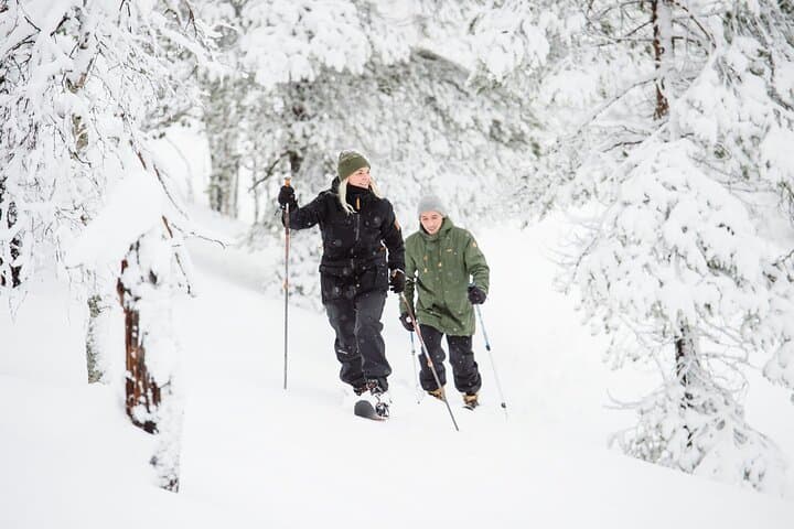 Premium Wilderness Skiing in Pyhä-Luosto National Park