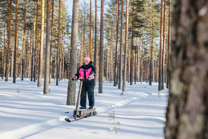 Snow surfing in the forest