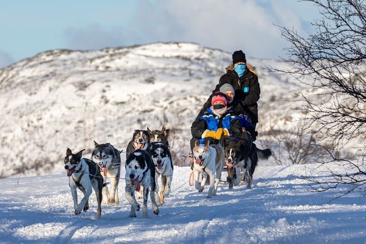 5KM Husky Sled Ride from Levi