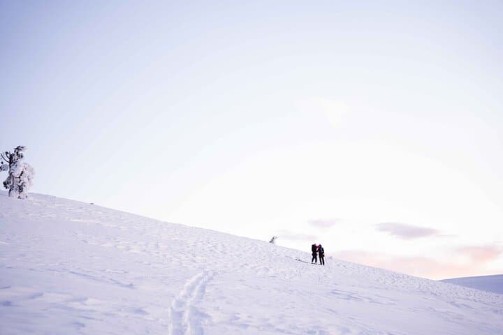 Half Day Snowshoe Hiking Adventure in Levi Lapland