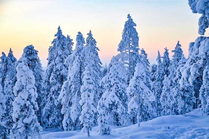 Beautiful snowy landscapes