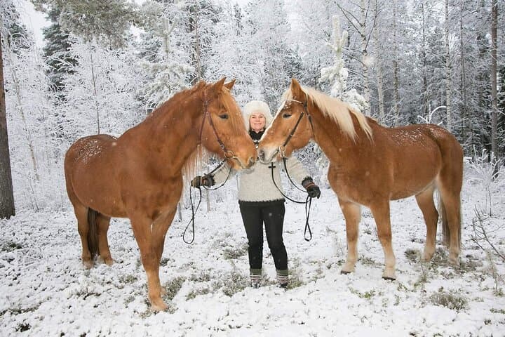 Tour to Aurora Horses Farm with Charming Finnhorses