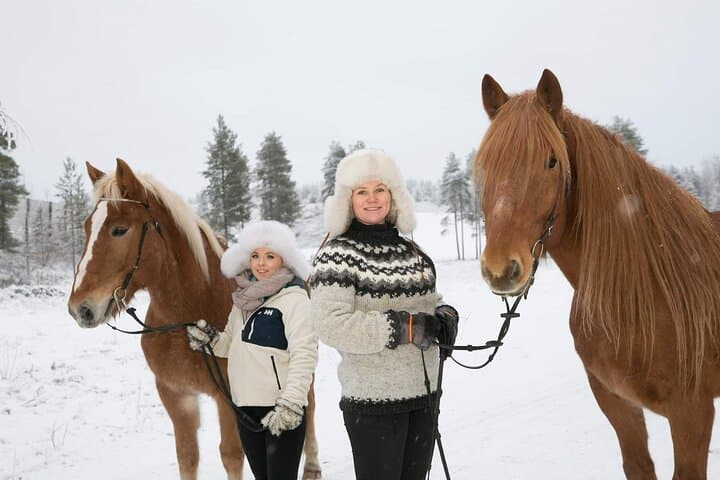 Tour to Aurora Horses Farm with Charming Finnhorses