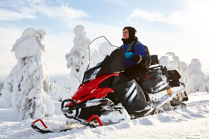 Easy Snowmobile Safari