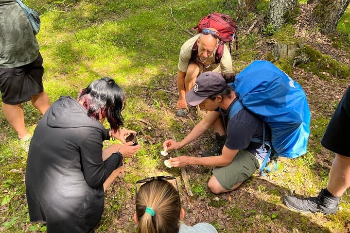 National Park Hike & Finnish Smoke Sauna Experience with Campfire Lunch