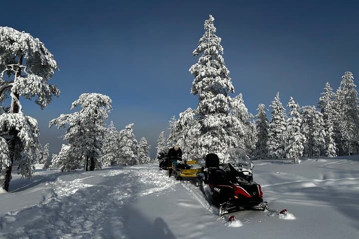 Northern Lights Tour Snowmobile Driving
