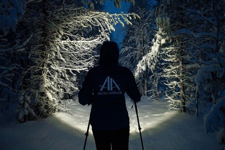 Guided 4-Hour Snowshoe Adventure in Lapland (Private)