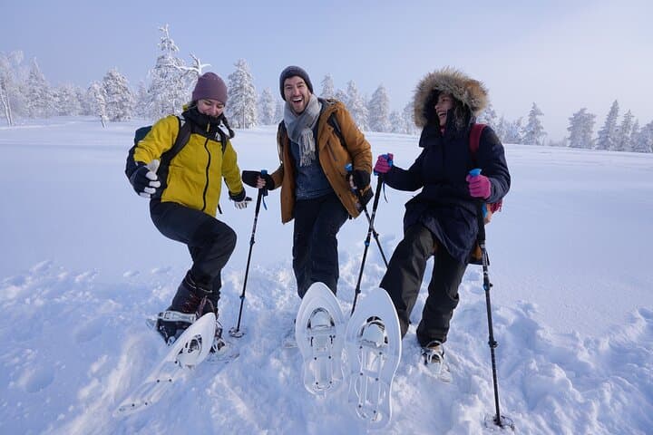 Guided 4-Hour Snowshoe Adventure in Lapland (Private)