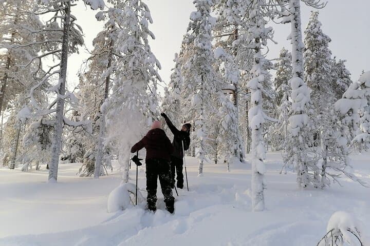 Guided 4-Hour Snowshoe Adventure in Lapland (Private)