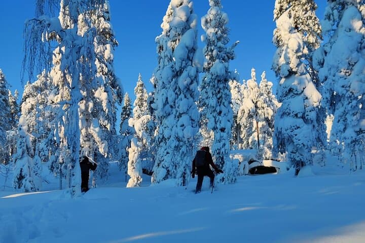Guided 4-Hour Snowshoe Adventure in Lapland (Private)