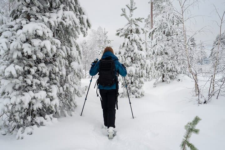 Guided 4-Hour Snowshoe Adventure in Lapland (Private)