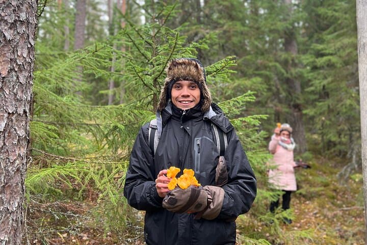 Mushroom Hunting in a National Park
