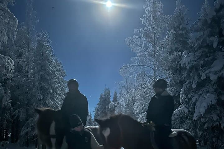 Late Night Ride with Finnhorses