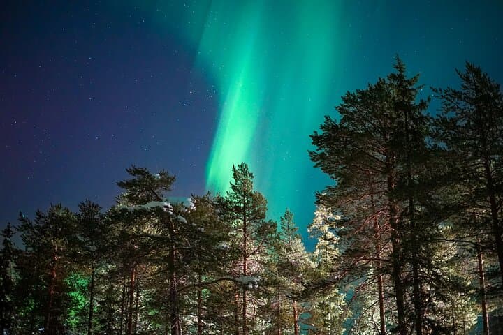 Northern Lights Tour with Professional Camera
