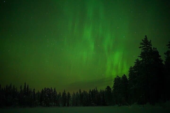 Northern Lights Tour with Professional Camera