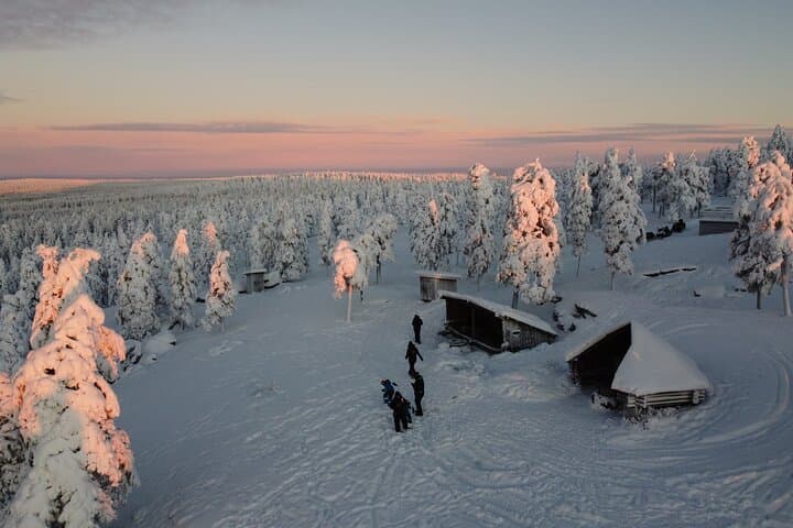3-Hour Snowmobile Adventure in Rovaniemi (Private)