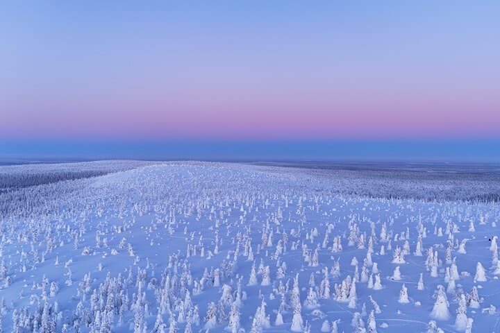 3-Hour Snowmobile Adventure in Rovaniemi (Private)