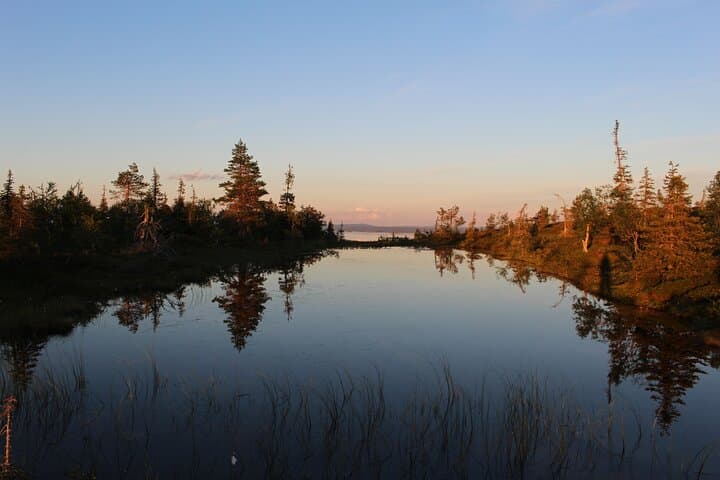 Walking in the Midnight Sun in Riisitunturi National Park