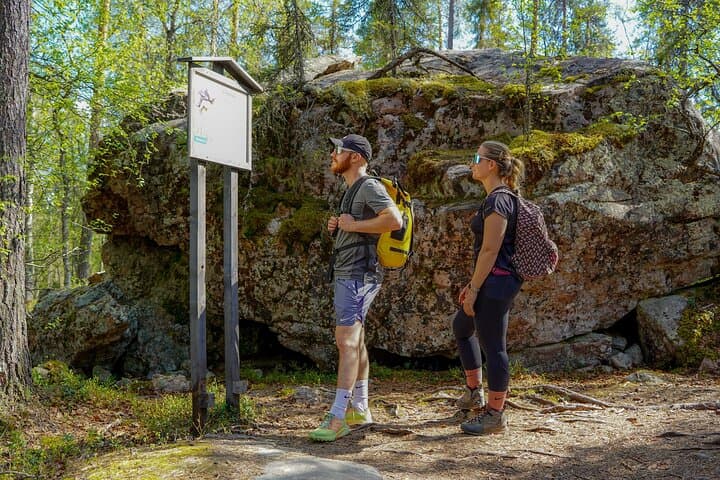 Bear Watching Overnight Trip & Hike in Oulanka from Rovaniemi