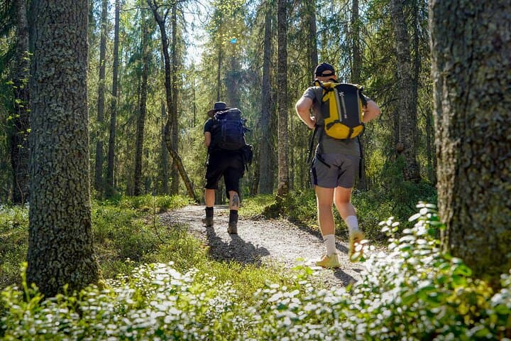 Bear Watching Overnight Trip & Hike in Oulanka from Rovaniemi