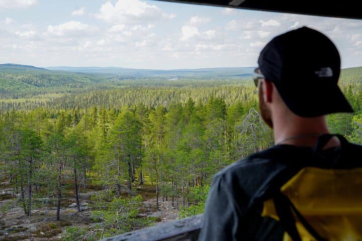 Bear Watching Overnight Trip & Hike in Oulanka from Rovaniemi