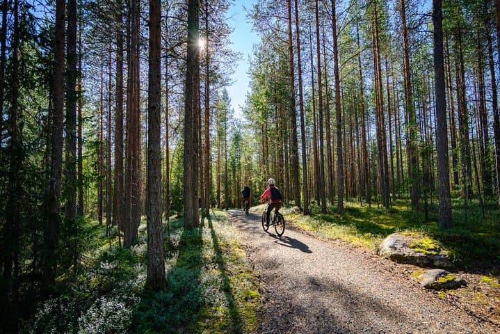 Bike Rental in Rovaniemi