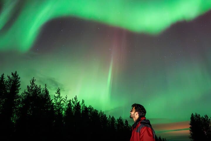 Rovaniemi: Guaranteed Small Group Northern Lights Hunt