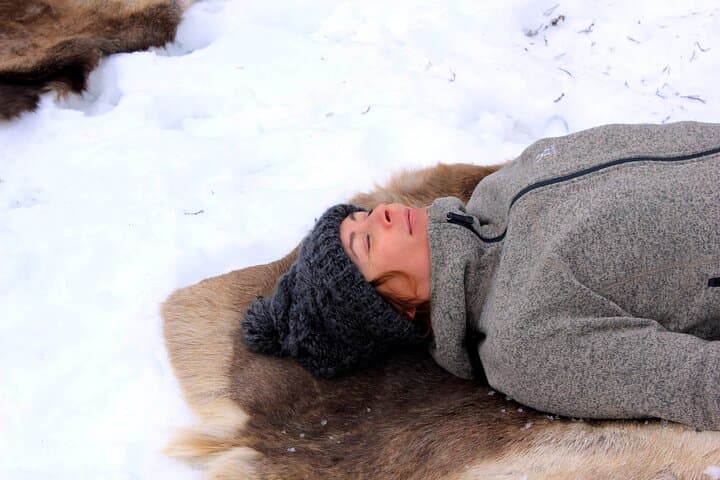 Resting reindeer