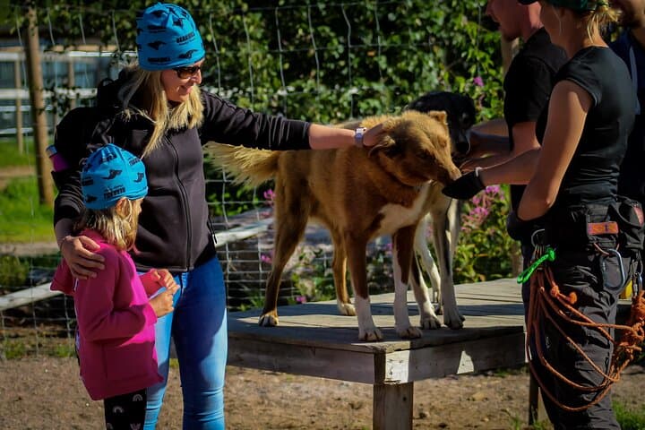 Family spending time with the huskies by the running fence