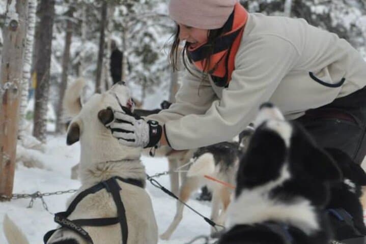 Husky Sledding Ride in Levi