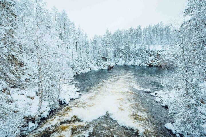 Views at the rapids