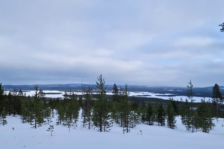 Ivalo: A Day in the Backcountry