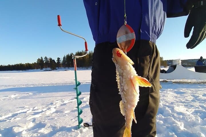 Ivalo: A Day in the Backcountry
