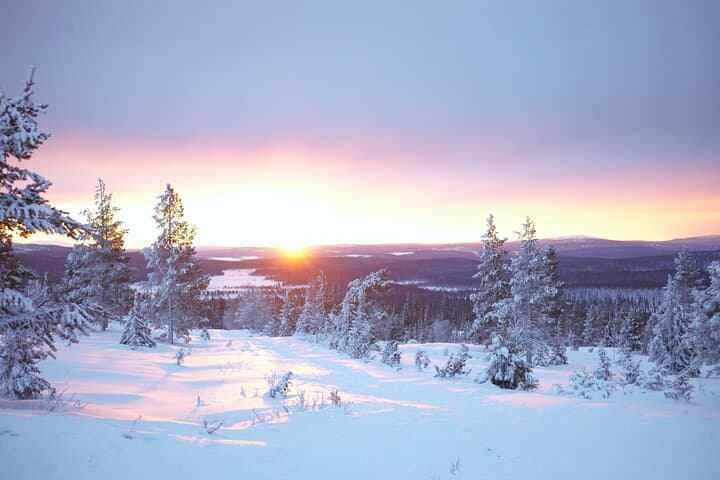 Private: Snowshoeing Safari in spectacular National Park
