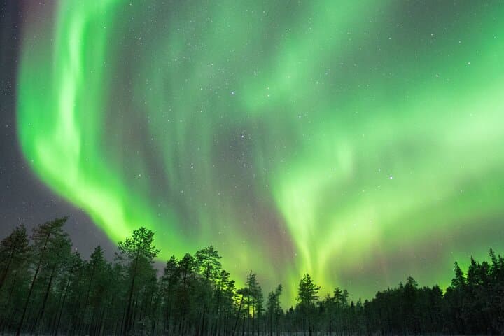 Rovaniemi Insider: Northern lights trip for families