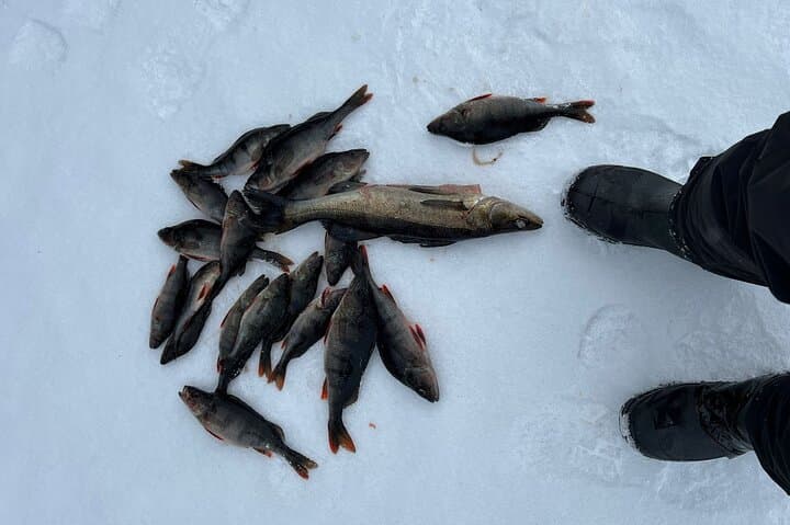 Rovaniemi Ice Fishing Guided Tour Experience
